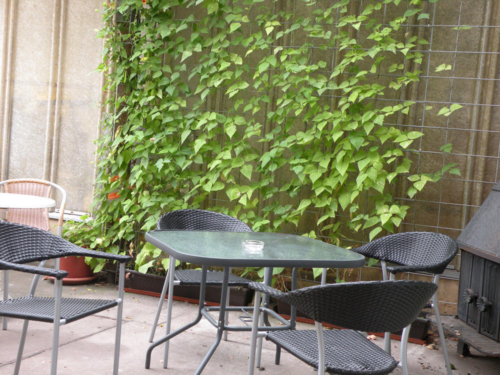 Apartments Schramm ไอเซนัค ภายนอก รูปภาพ
