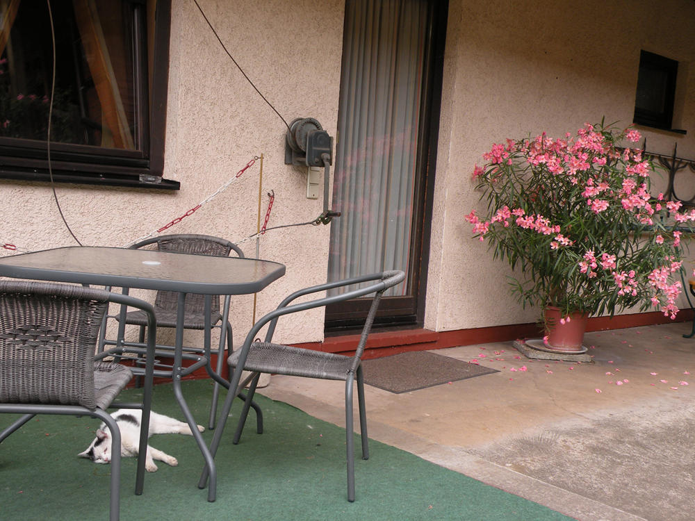 Apartments Schramm ไอเซนัค ภายนอก รูปภาพ