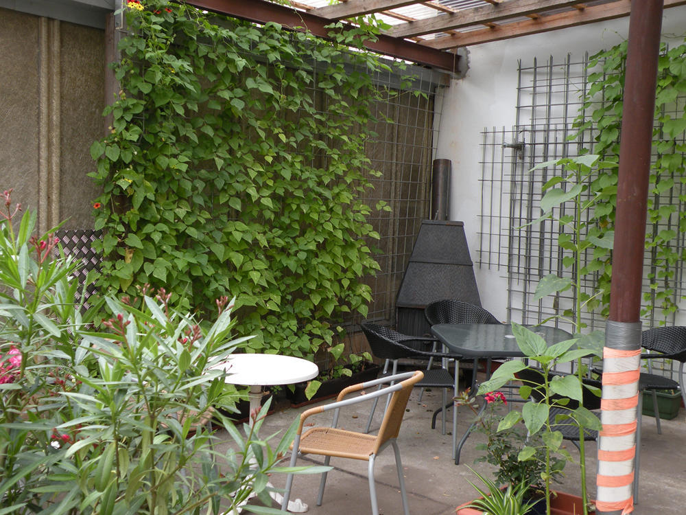 Apartments Schramm ไอเซนัค ภายนอก รูปภาพ