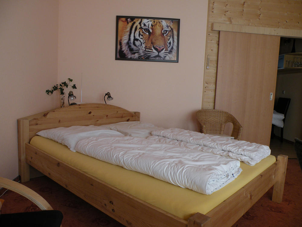 Apartments Schramm ไอเซนัค ห้อง รูปภาพ